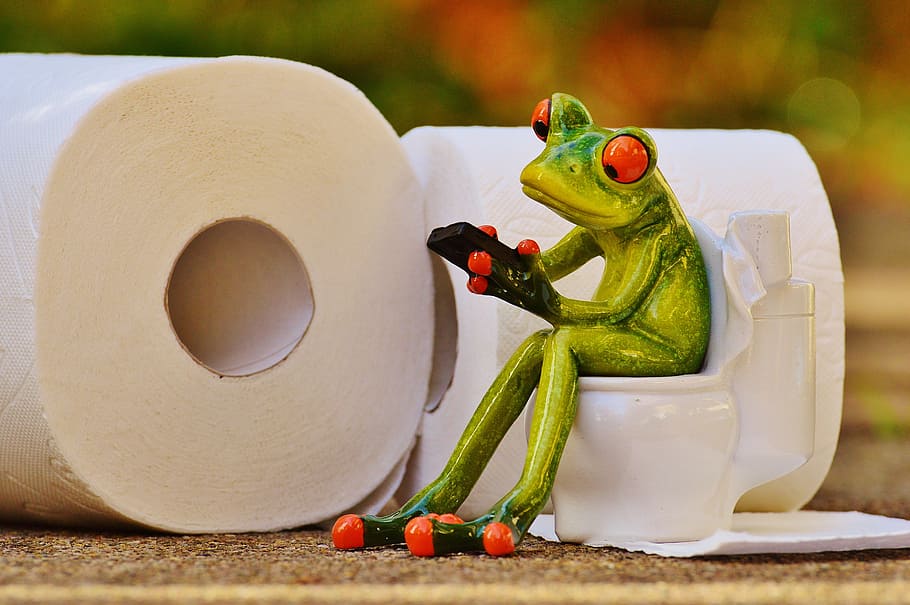selective, focus photography, green, ceramic, frog figurine, Frog, Toilet, Loo, Session, funny