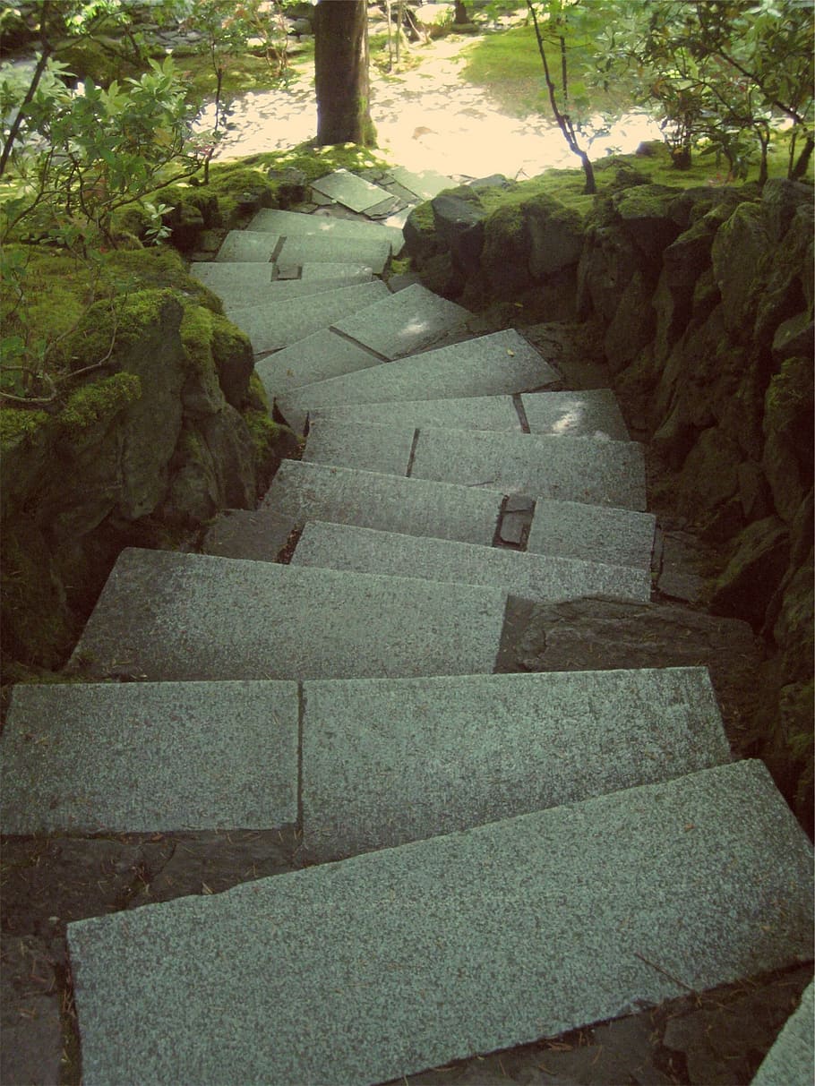 gris, hormigón, escalera, al lado, verde, rocas, algas, escaleras, rodeado, árboles