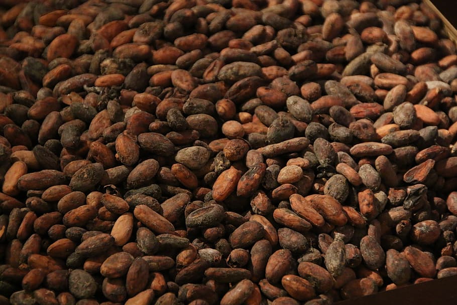 granos de café, cacao, frijol, asado, chocolate, granos de cacao, marrón, fondos, alimentos, tostado