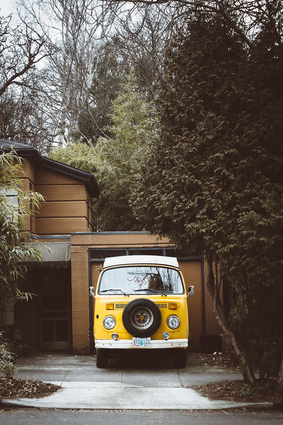 Volkswagen, vintage, coche, transporte, viajes, aventura, antiguo, óxido, revistas, árboles