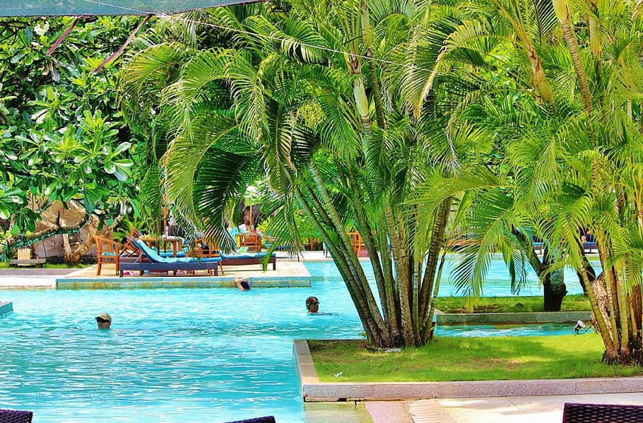 people, swimming, pool, daytime, bali, indonesia, nusa dua, tropical island, exotic, tourism