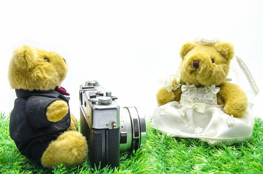 2, クマ, ぬいぐるみ, おもちゃ, 写真, 撮影, バレンタイン, 結婚式, 古いカメラ, ビンテージカメラ