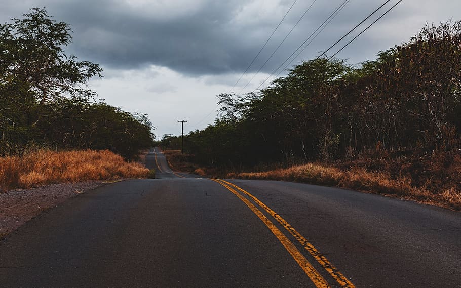 road, travel, asphalt, grass, outdoor, trees, plant, nature, cloudy, sky