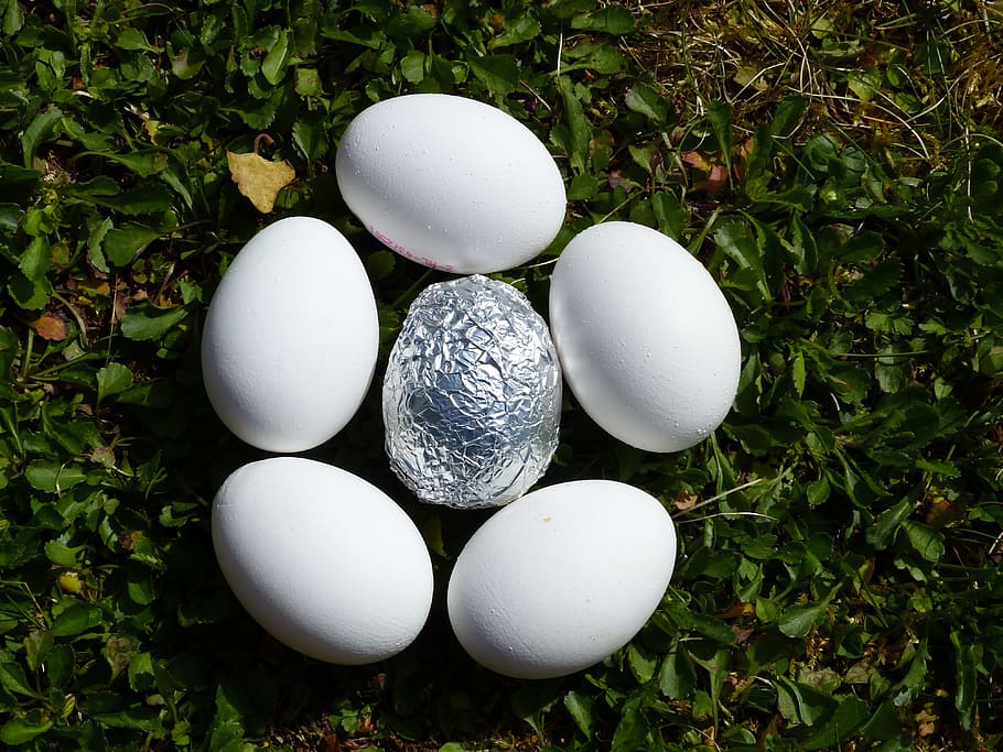 egg, nature, easter nest, easter eggs, aluminium, white, structure, contrast, easter greeting, easter