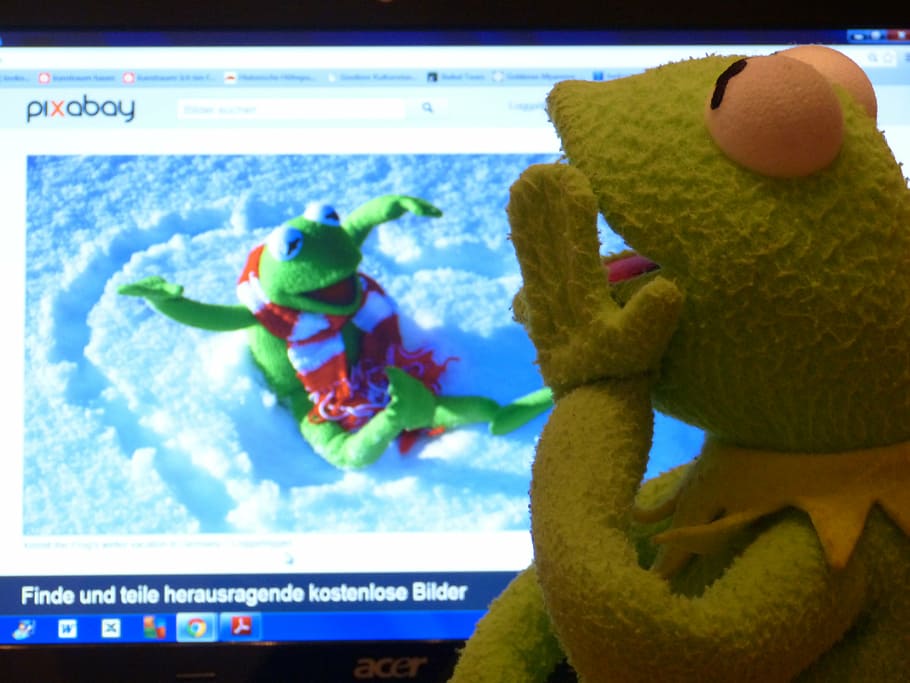 kermit, frog, plush, toy, watching, kermit video clips, computer, pixabay, see, preview image