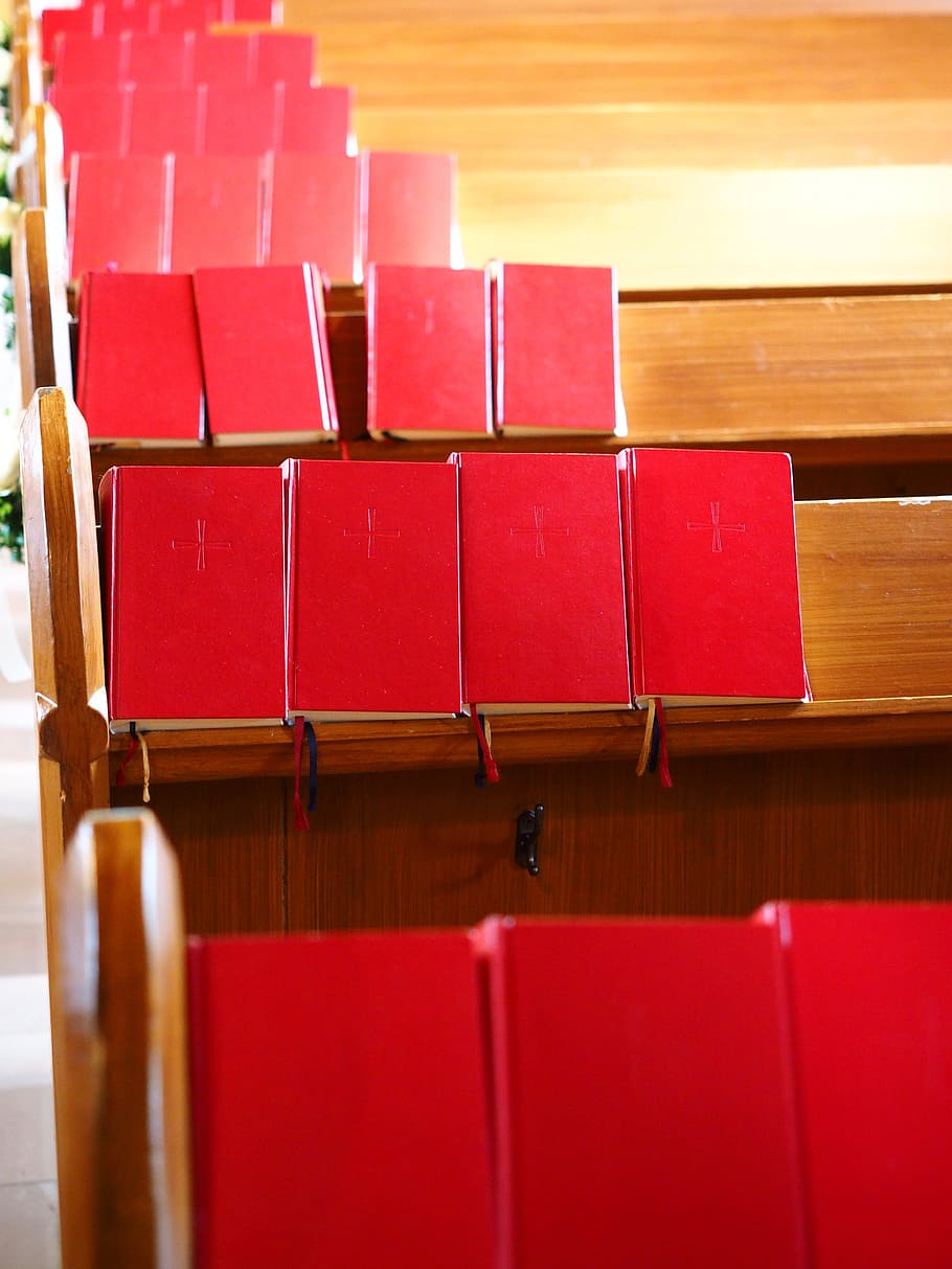 Song Books, Sing, Songs, Church, books, sing, songs, hymns, red, indoors, in a row