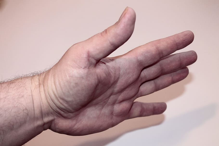 Palm, Gesture, Hand Signals, hand, finger, skin, human Hand, human Finger, people, gesturing