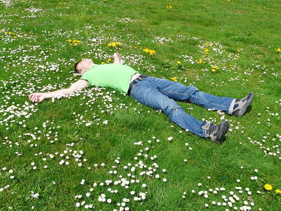 hombre, acostado, abierto, brazos, campo de hierba, flores, descanso, relajarse, preocupaciones, acogedor