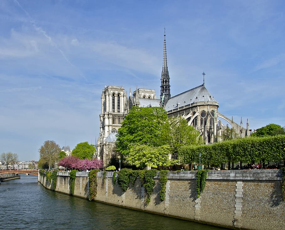 grande, hormigón, edificio, cuerpo, agua, durante el día, Notre Dame, París, Francia, Sena