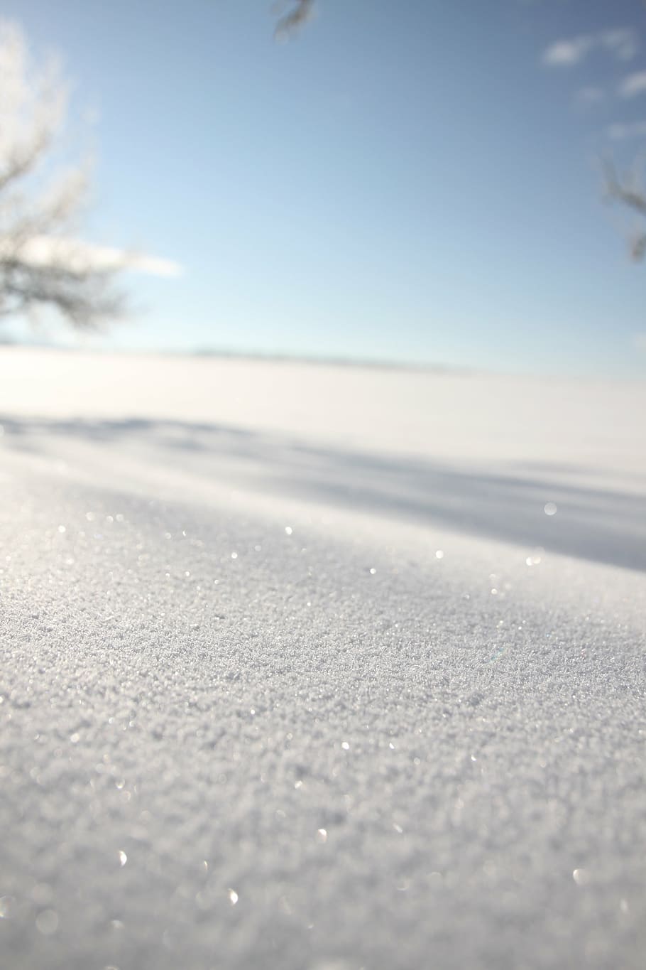 new zealand, powder snow, sparkle, winter, drifts, mood, morning, frost, nature, snow