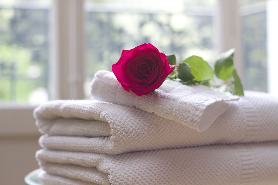 red, rose, top, white, towels, window, towel, clean, care, salon