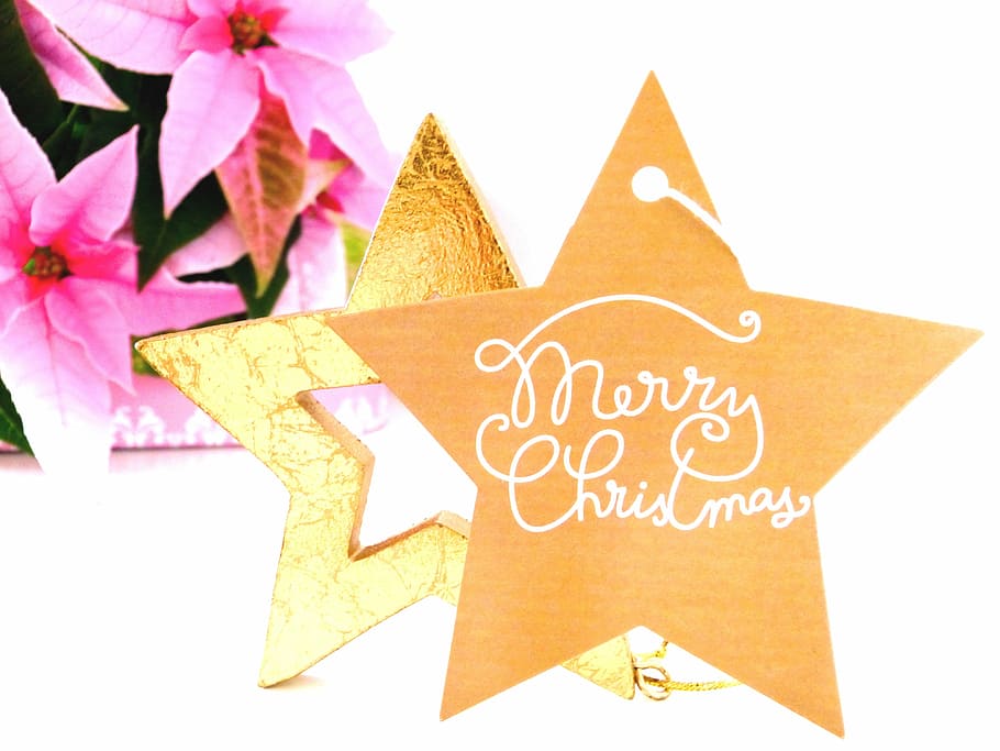 coklat, putih, dekorasi meja bintang, riang, teks natal, natal, keinginan, riang natal, adventsstern, poinsettia
