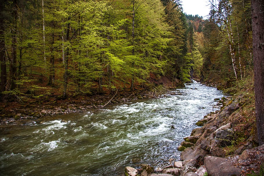 breitachklamm, bavaria, gorge, mountain stream, water, murmur, bach, allgäu, nature, flow