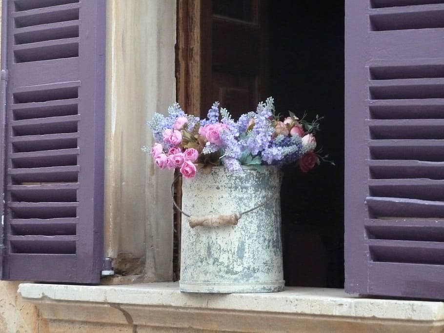 sortidas, flores, balde de aço, janela, aço, balde, flor, deco, porta, ninguém