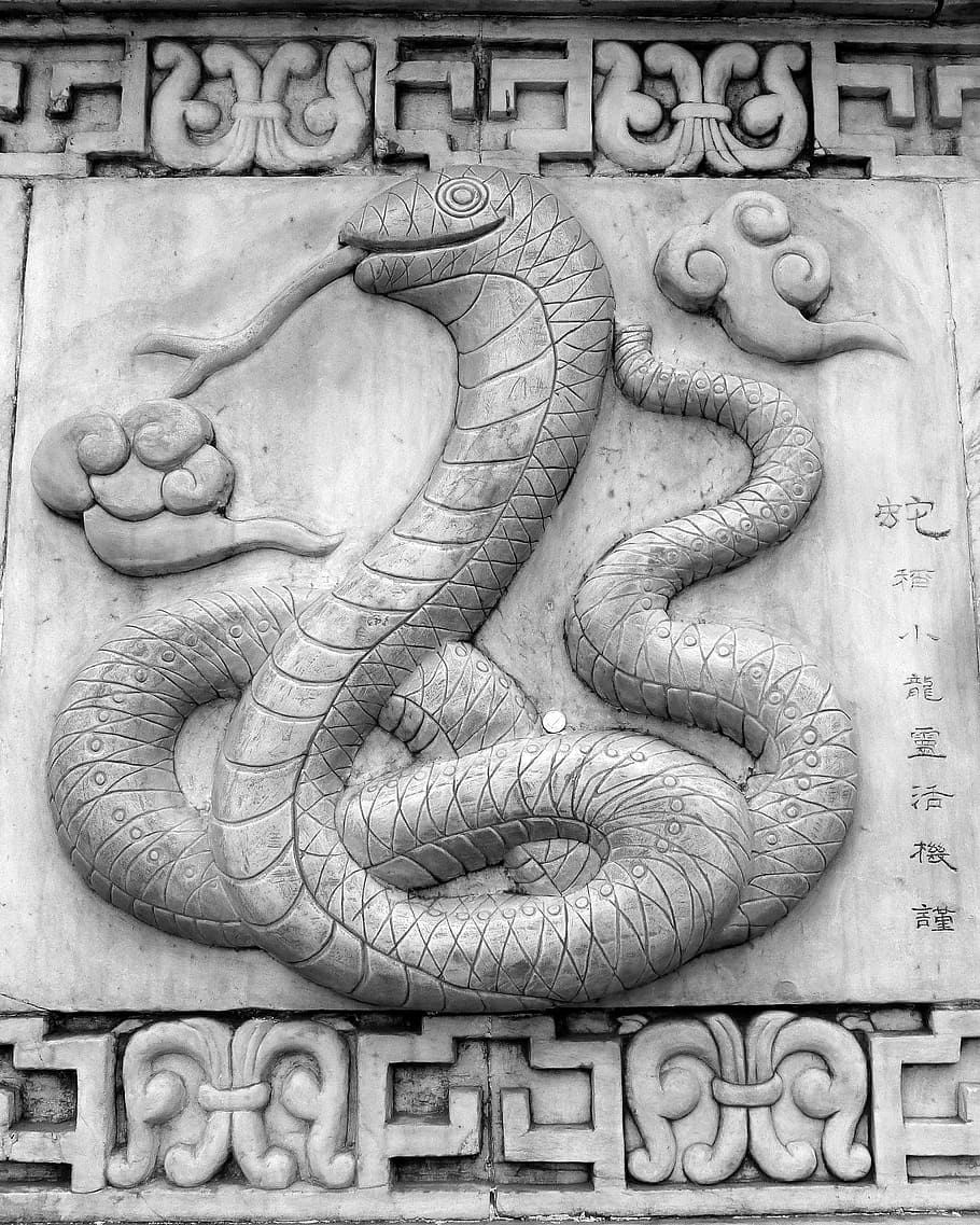 Si, serpiente, oriental, chino, asiático, arte, estatua, cultura, tradicional, decorativo