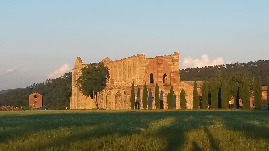 san galgano, abbey, tuscany, italy, history, architecture, plant, sky, the past, built structure