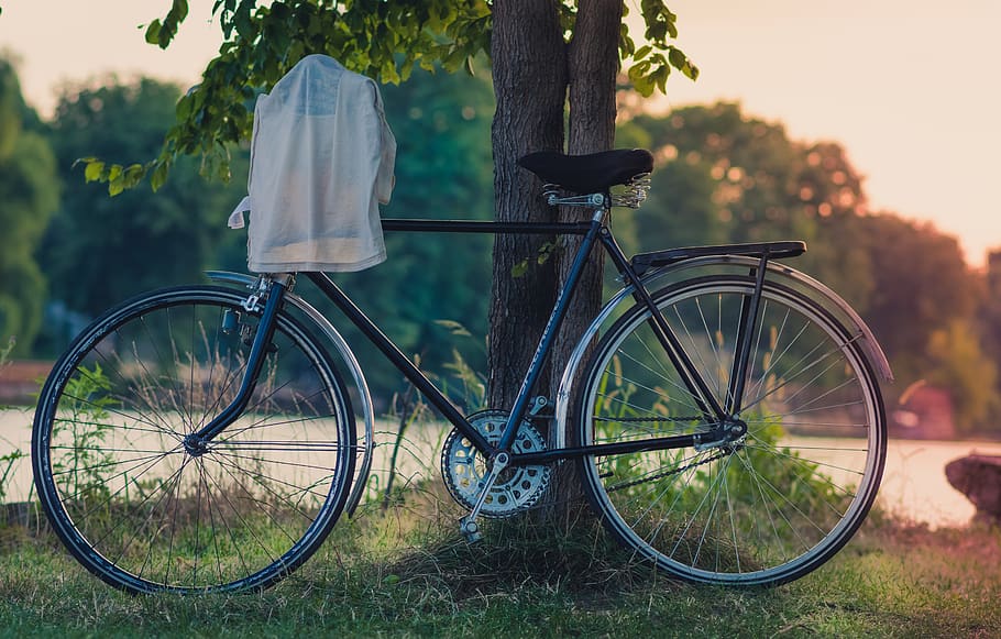 bicicleta, camisa, ropa, secado, percha, parque, al aire libre, verano, árboles, hierba
