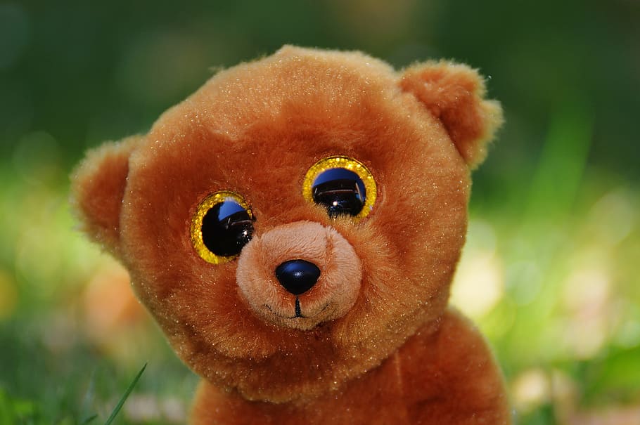 Teddy Bear, Glitter, Eyes, Stuffed Animal, glitter eyes, soft toy, teddy,  cute, sweet, looking at camera | Pxfuel