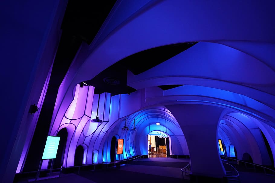 blue, pink, lighted, room, chicago, adler planetarium, astronomy, purple, architecture, arch