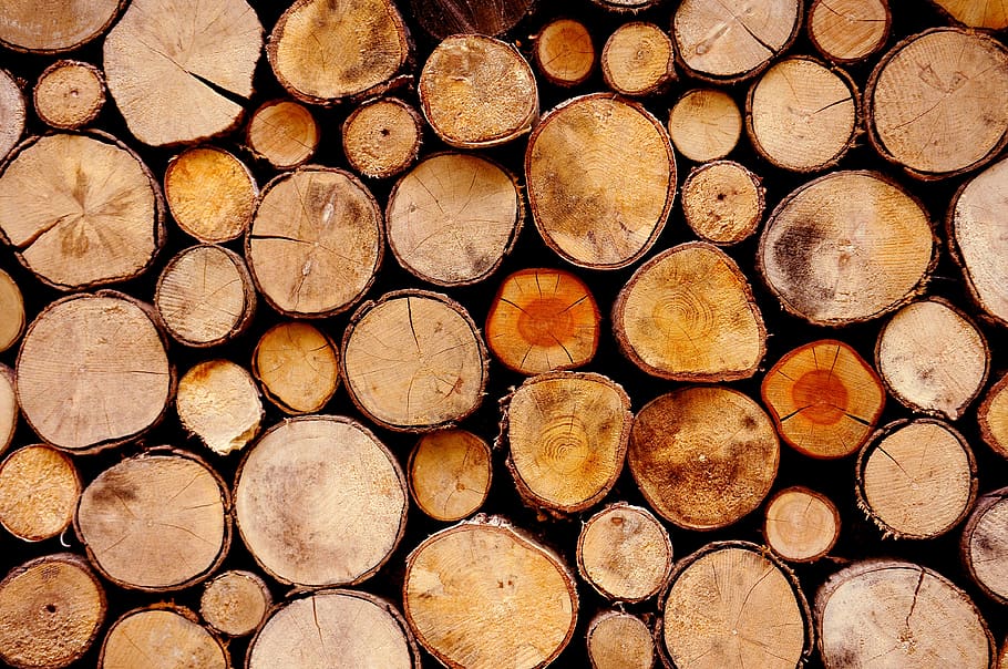 troncos, Madera, registro, industria maderera, fotograma completo, leña, madera - material, bosque, árbol, fondos