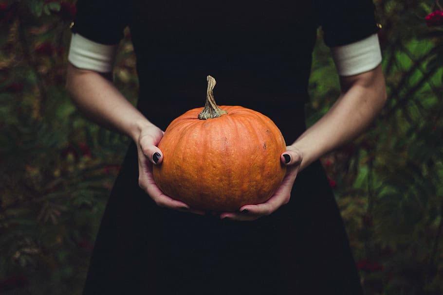 woman holding pumpkin, close-up, food, fruit, halloween, hands, person, pumpkin, squash, one man only