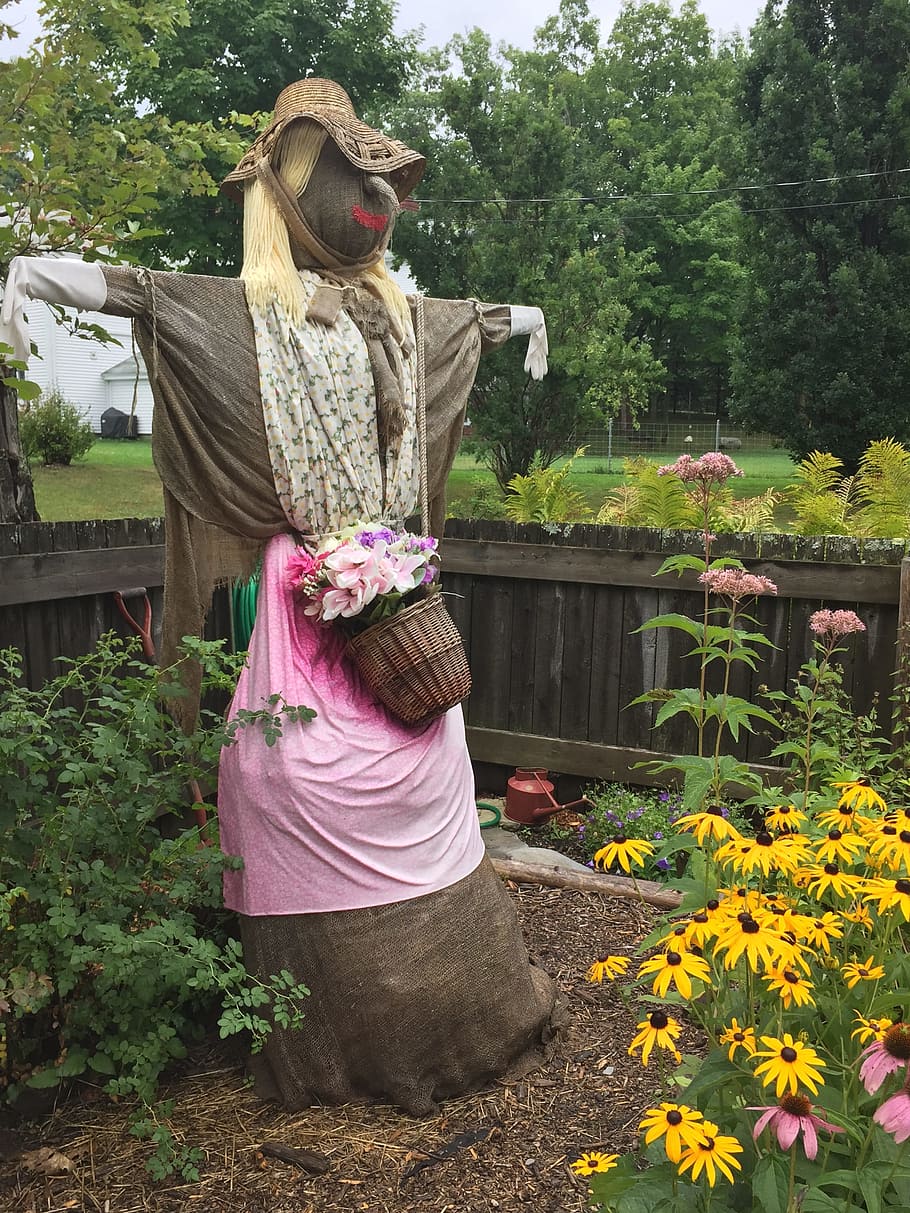 Scarecrow, Garden, Gardening, one person, adult, adults only, flower, only women, outdoors, plant
