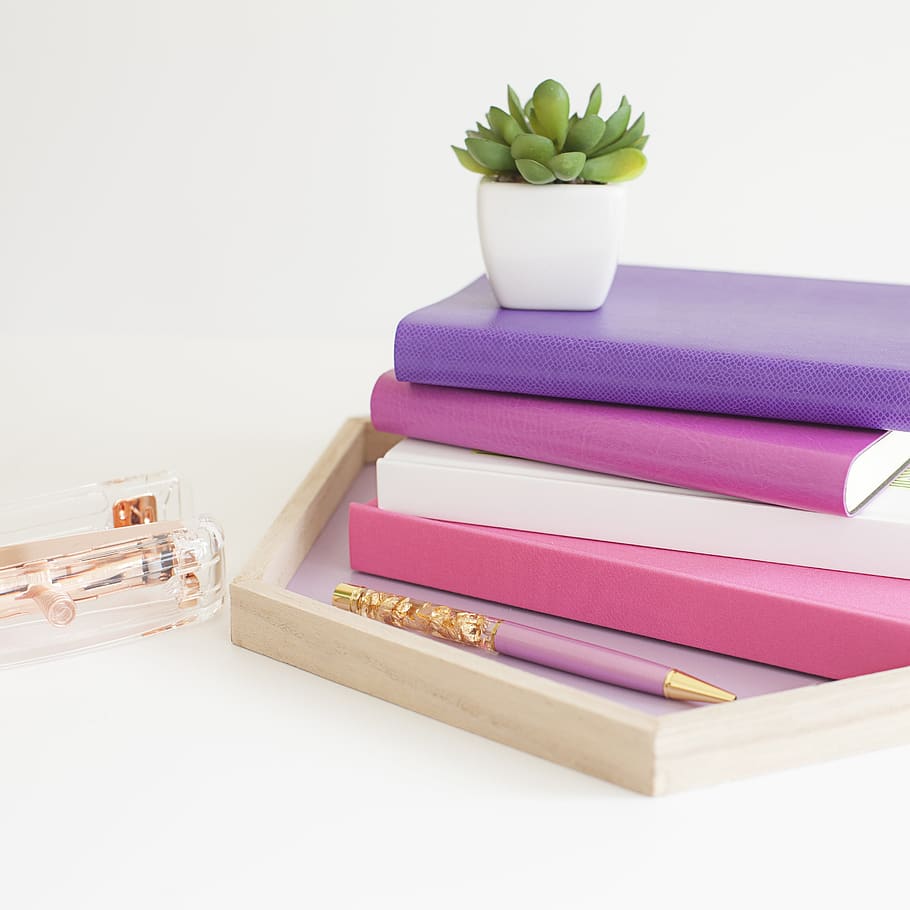 stack, books, objects, stationary, diary, colorful, plant, vase, pencil, decor