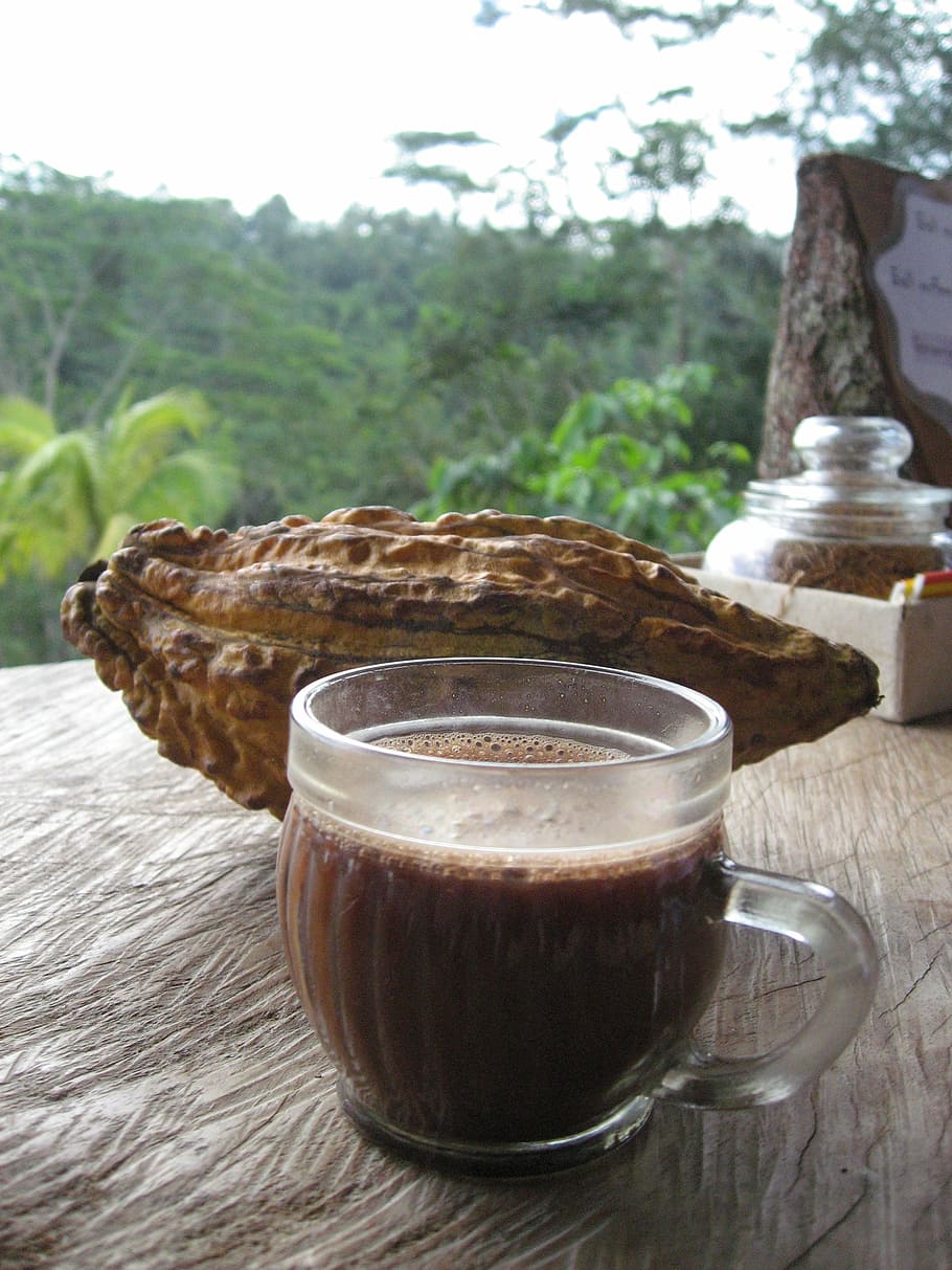 vidrio café, marrón, superficie, bali, café, cacao, bebida, taza, comida, calor - Temperatura