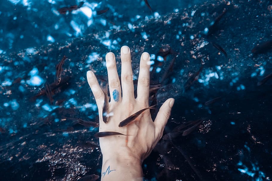 person, hand, underwater, fish, swimming, around, palm, sea, water, aquatic