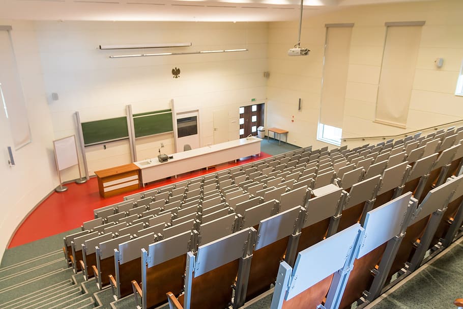 room, lecture hall, assembly hall, audience, lectures, school, university, the university, the jan kochanowski university, kielce