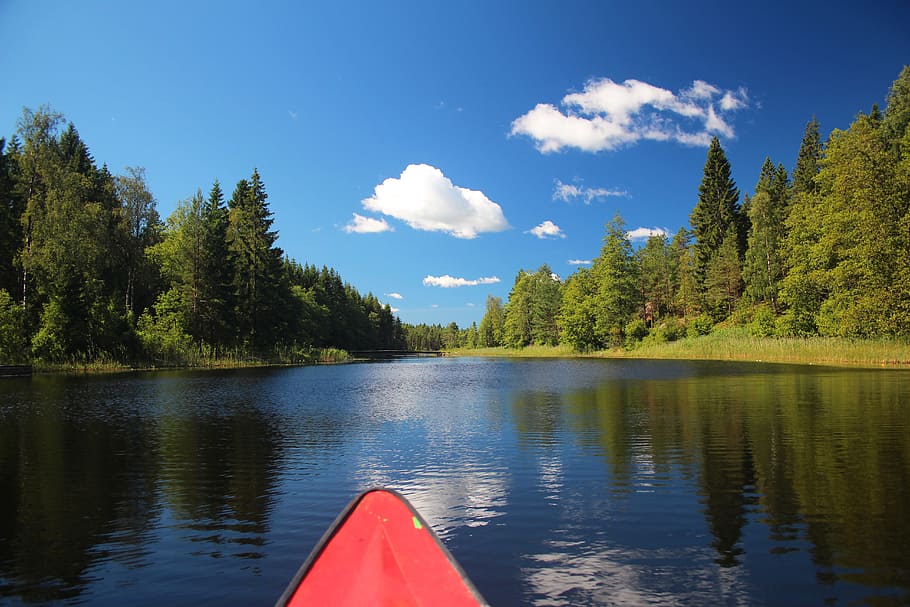 canoeing, sweden, landscape, water, tree, plant, lake, scenics - nature, beauty in nature, tranquility