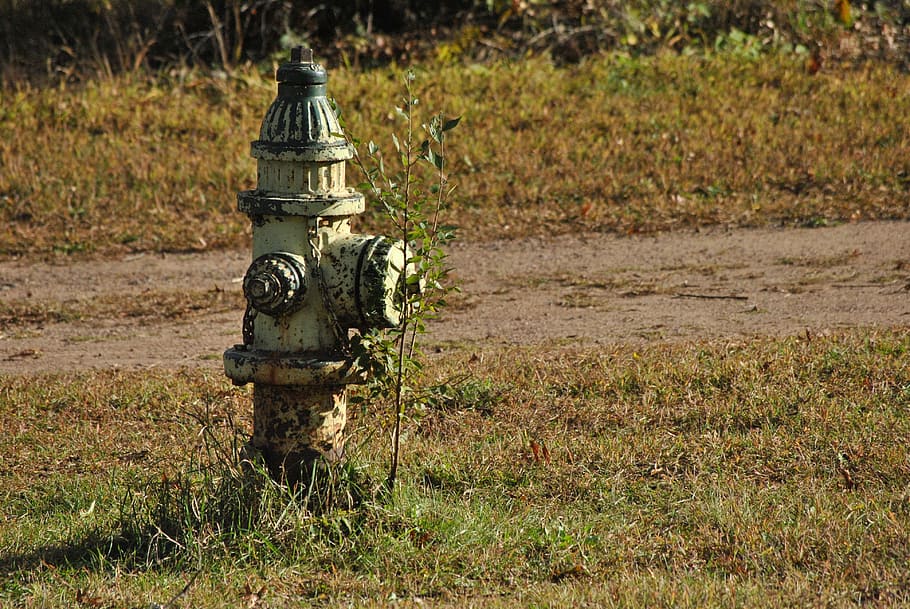 Water Hydrant, Fire Hydrant, hydrant, extinguish, water source, abandoned, old, nature, outside, water