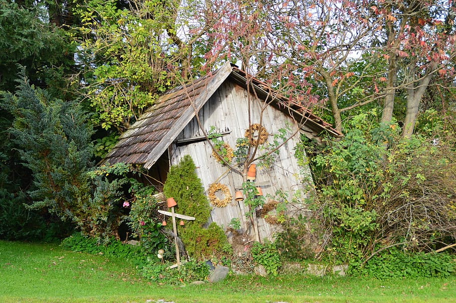 Hut, Idyll, Autumn, Askew, Old, tree, grass, house, built structure, abandoned