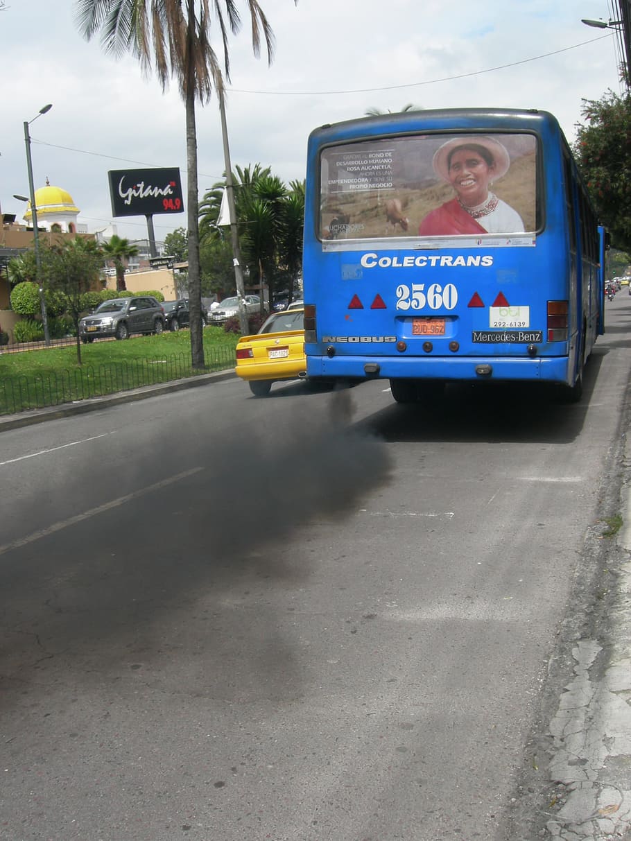 Exhaust Fumes, Pollution, Environment, quito, ecuador, public transportation, bus, road, transportation, outdoors