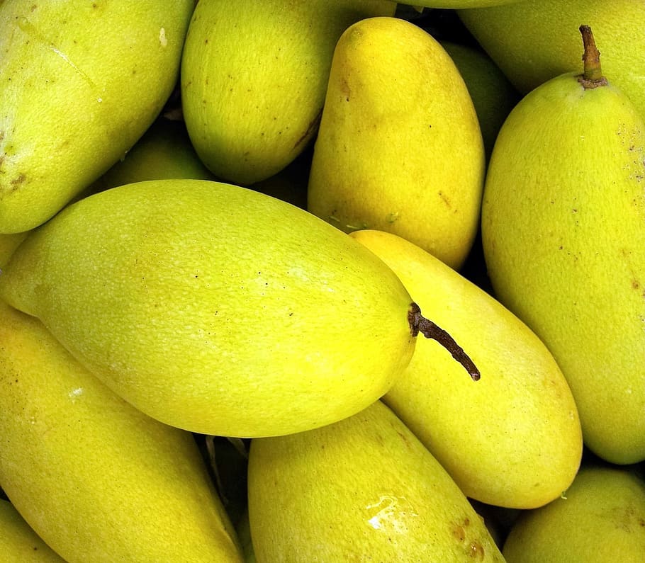 close-up photo, green, mangoes, Mango, Fruit, Fresh, Healthy, Sweet, vegetarian, ripe