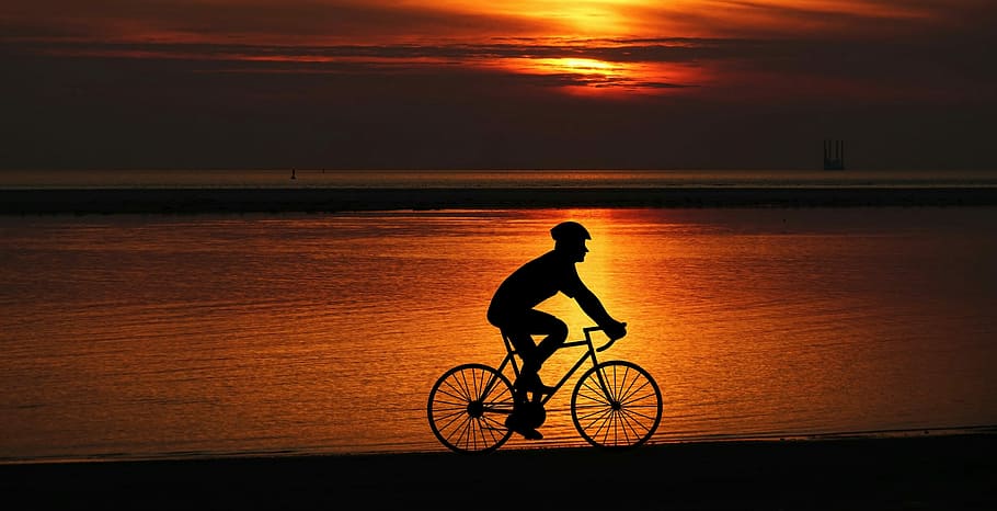 silhouette, man biking, seashore, design, wheel, bike, cyclist, transportation, panoramic, outdoors