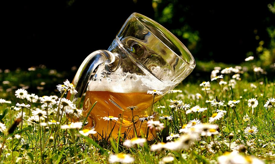mug, beer, field, white, aster flowers, Beer Glass, Deformed, bent, funny, beer garden
