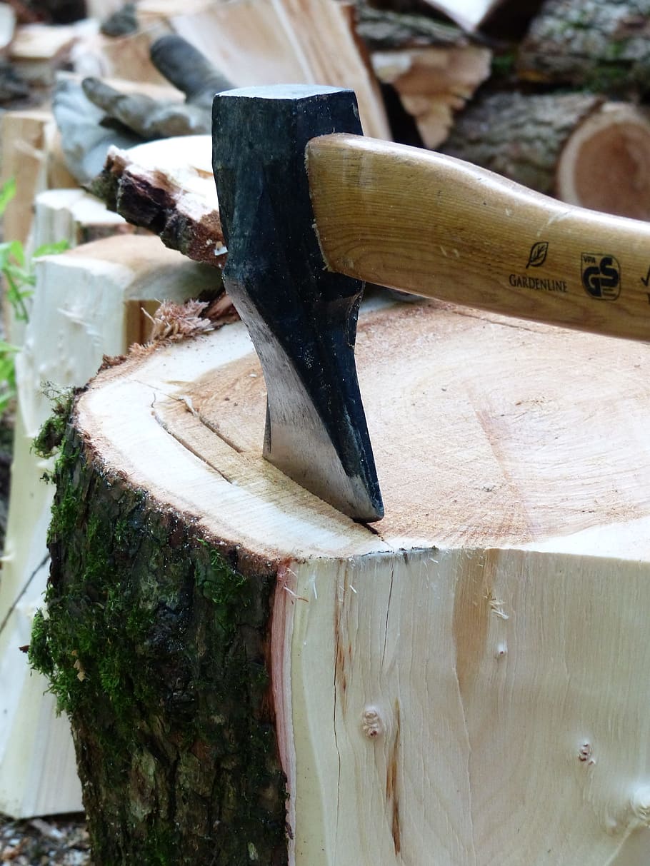 x, ハック, 木材チョップ, 木材を作る, ログ, 作業, 森林作業, 木の切り株, のこぎり, ケース