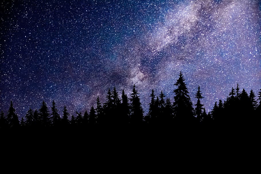 noite, céu, estrelas, aurora boreal, galáxia, espaço, astronomia, universo, floresta, natureza