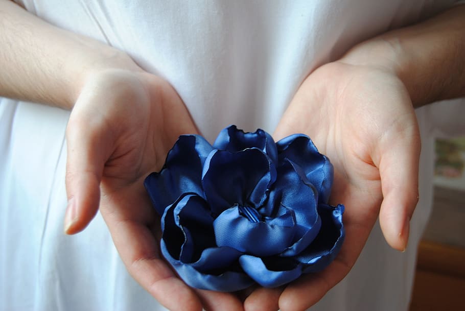 person, holding, blue, flower decor, the hand, woman, man, mother's day, flower, ornament