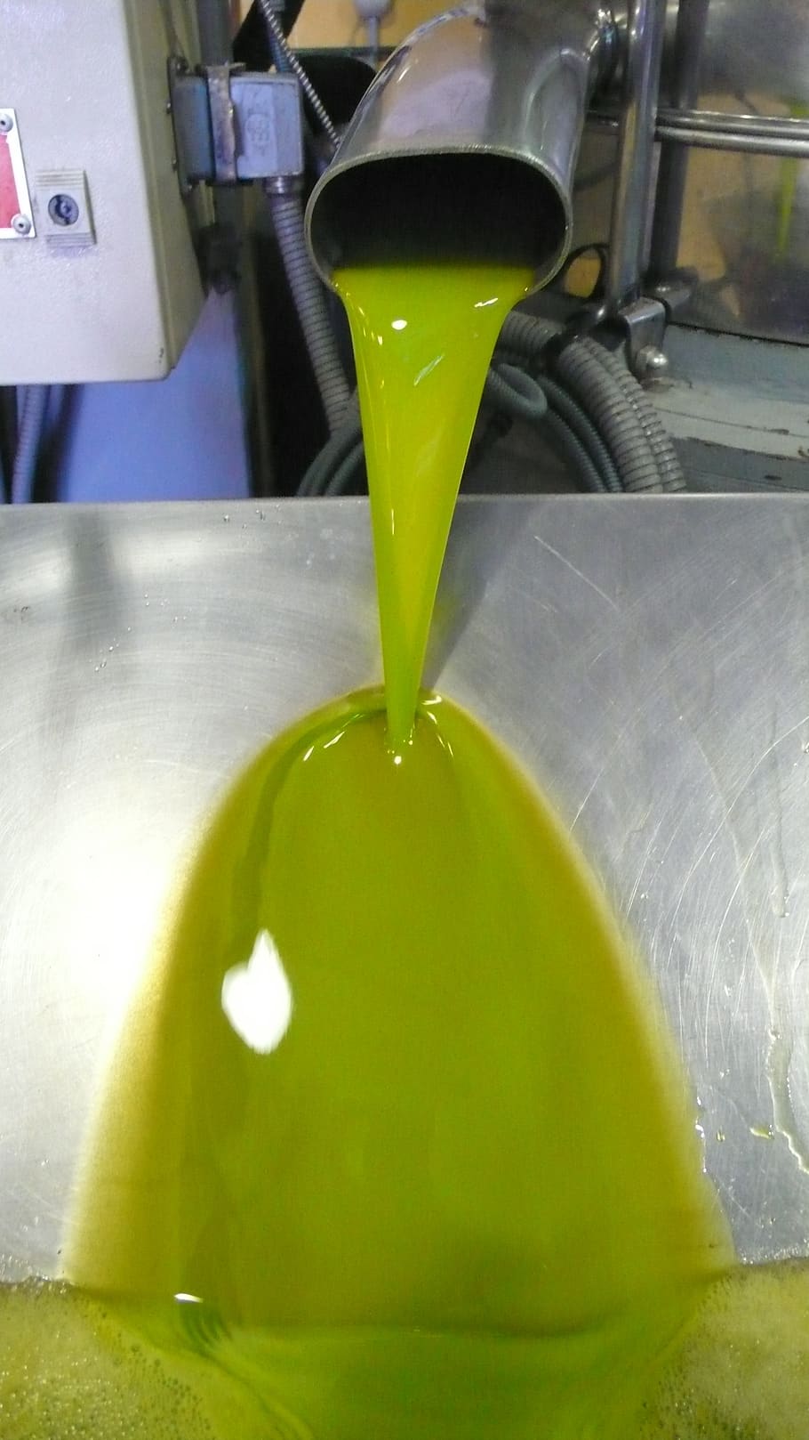 oil, first pressure, olive, fruit, nature, olivas, olives, close-up, green color, indoors