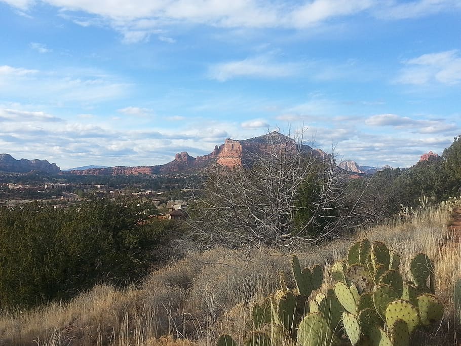 sedona, arizona, castle rock, red rocks, desert, cactus, sky, clouds, scenic, trail