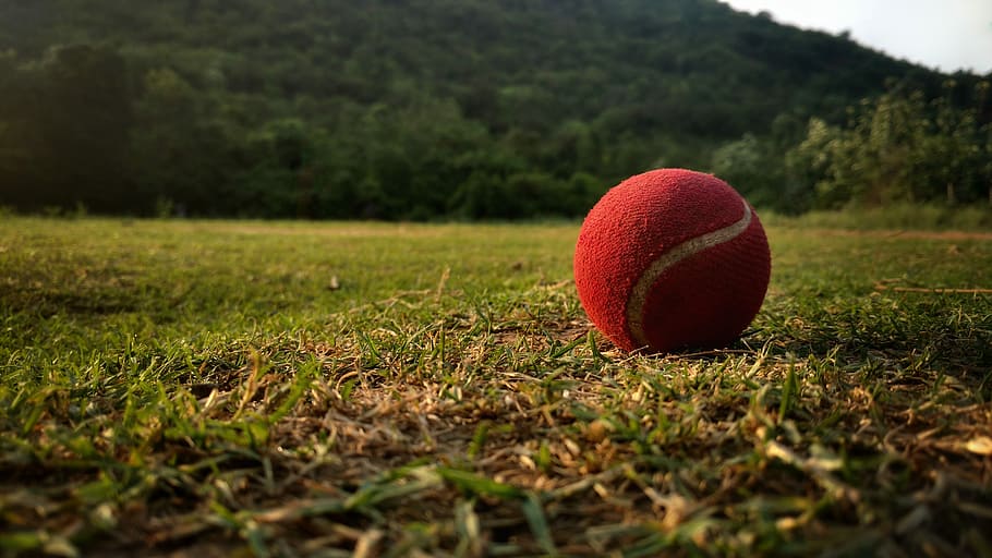 rojo, blanco, pelota de tenis, verde, hierba, durante el día, pelota, cricket, tenis, colina