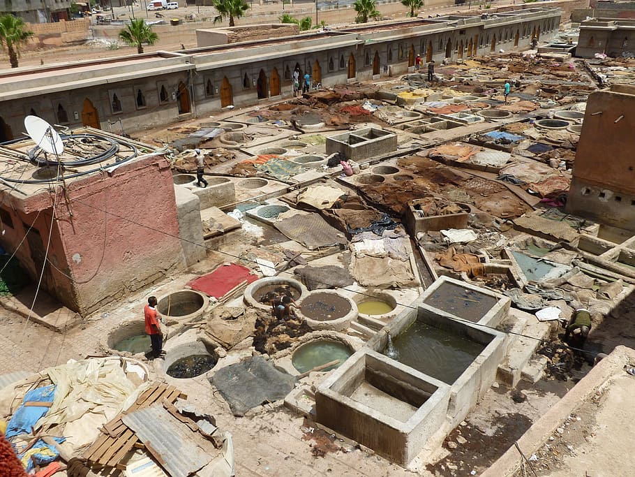 Morocco, Tannery, Leather, industry, day, outdoors, city, working, occupation, high angle view