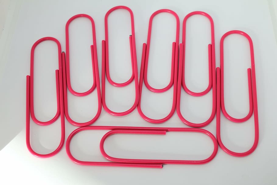 paperclips, office supplies, business, accessories, paper, clip, header, office material, colorful, pink