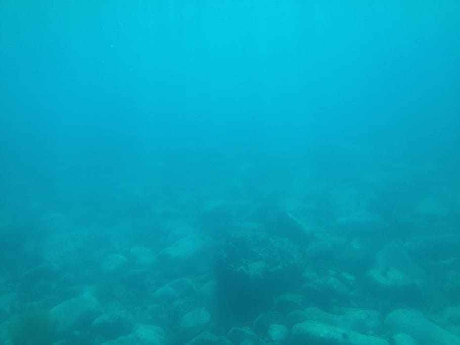 fotografía submarina, submarino, océano, natación, buzos, mar, agua, azul, fondos, vida marina