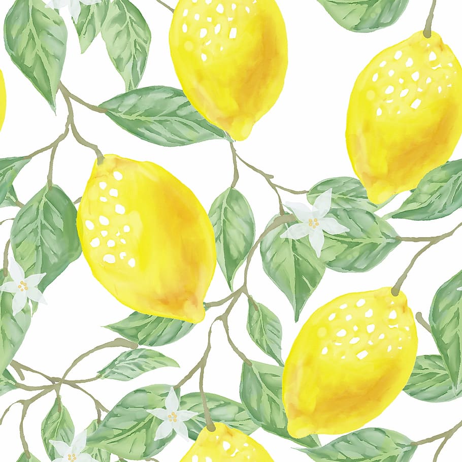 ilustrasi, buah lemon, tekstil, kain, daun, hijau, kuning, lemon, buah, mulus