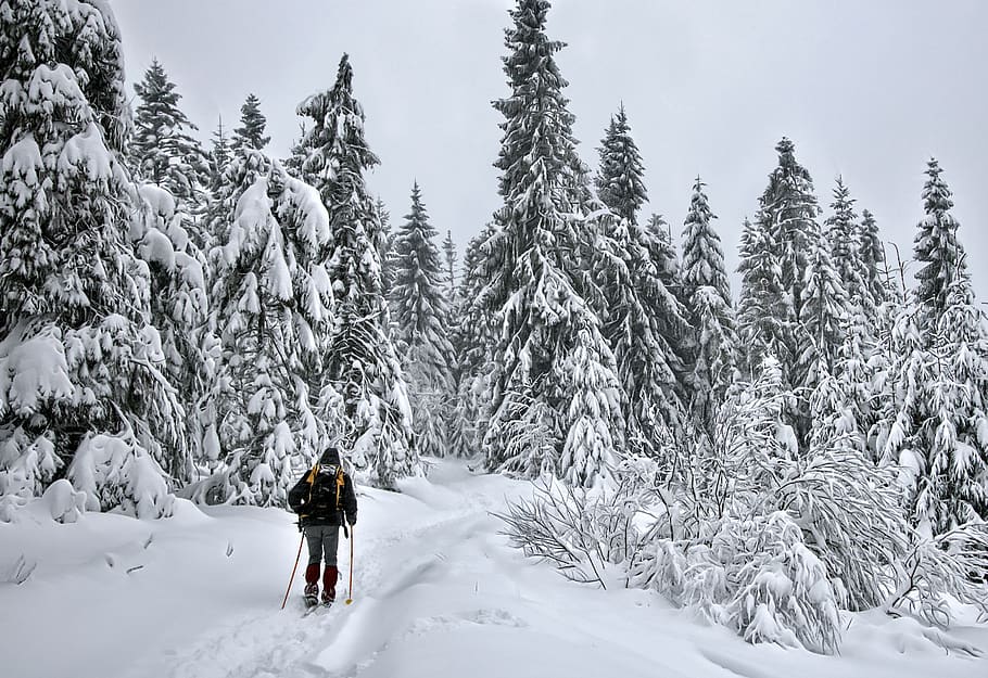 invierno, esquí, turismo, nieve, frío, esquiador, montañas, paisaje, caliente, polonia