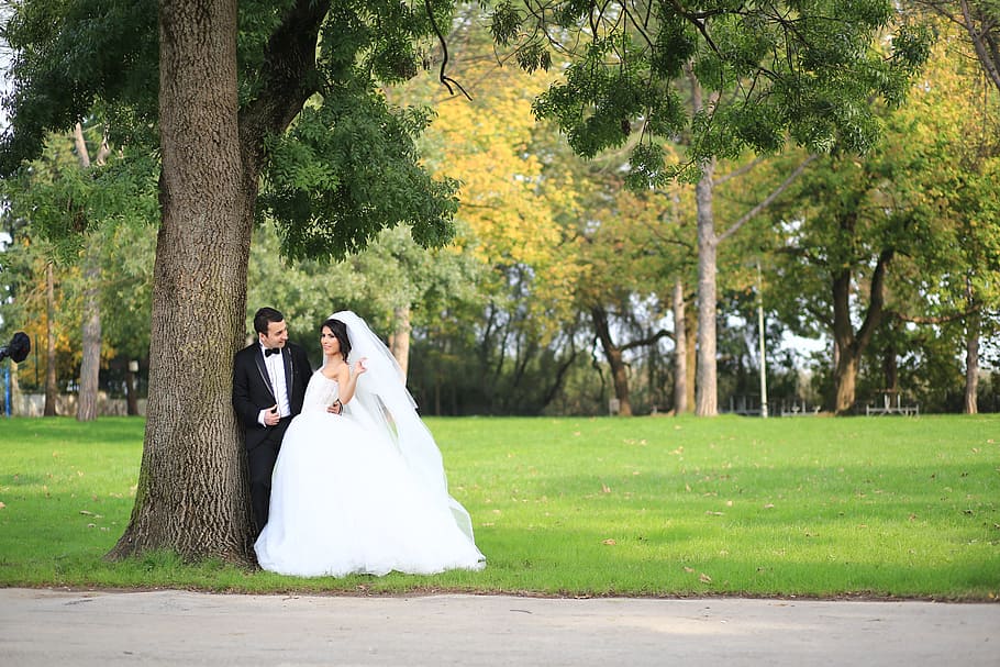naturaleza, nueva pareja, fotografía al aire libre, fotografía de bodas, Boda, novia, recién casado, vestido de novia, árbol, casado