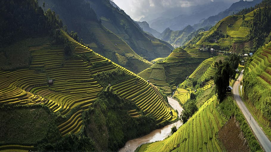 Mu, distrito, província de Yen Bai, Vietnã, vista aérea, fotografia, arroz, terraços, montanha, paisagem